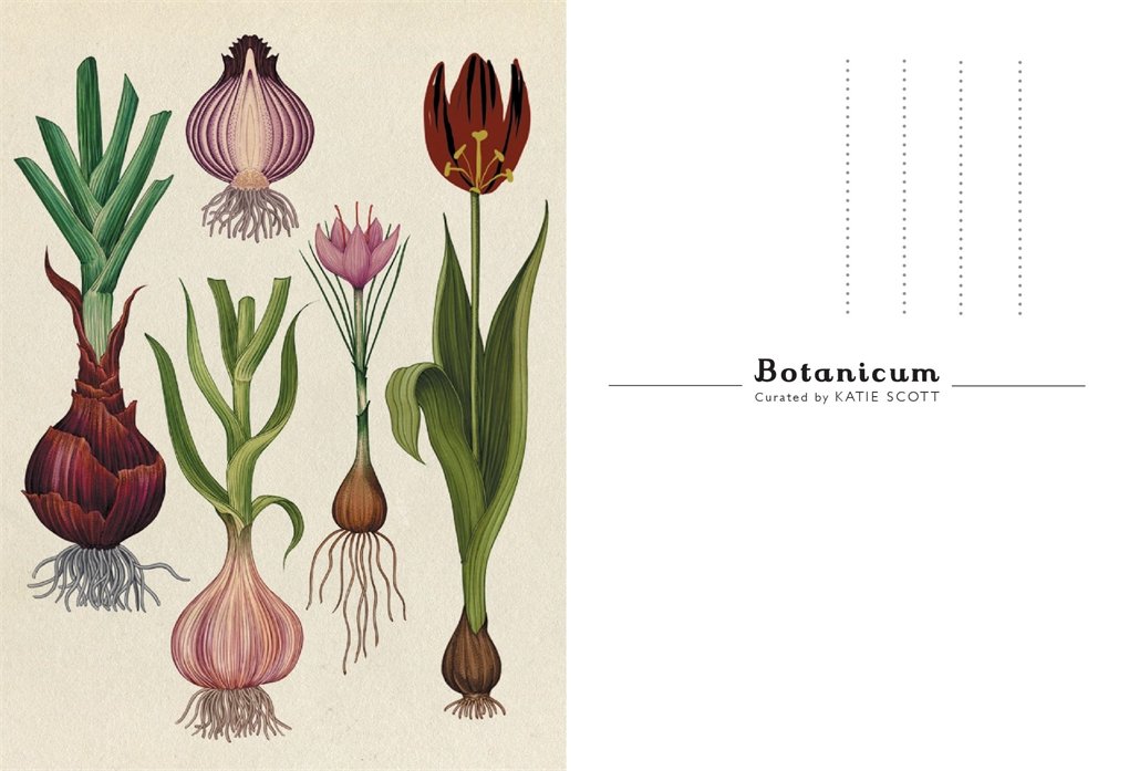 cartoline botaniche
