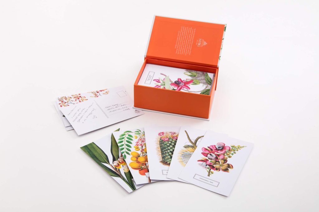 scatola cartoline disegni botanici