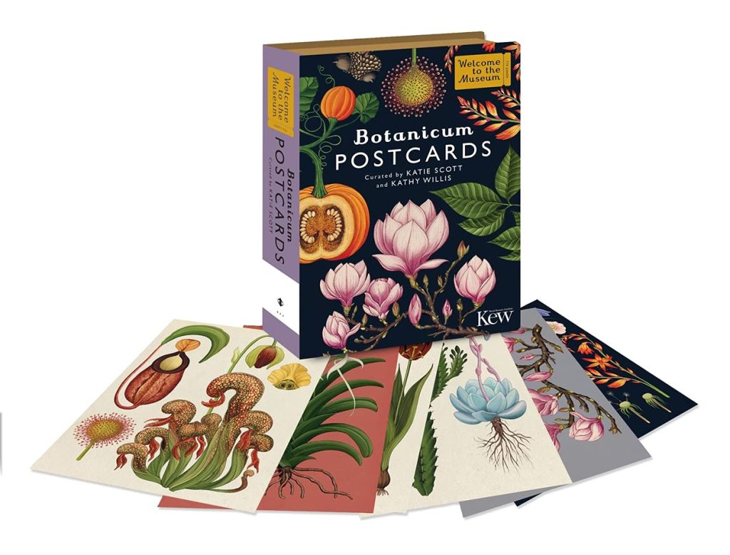 scatola cartoline botaniche