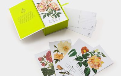 Scatola cartoline botaniche Rose